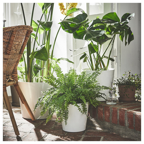 SOJABÖNA Plant pot, white, 32 cm