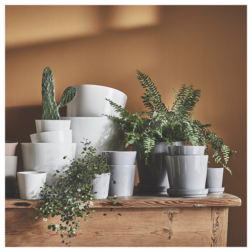 SOJABÖNA Plant pot, white, 12 cm