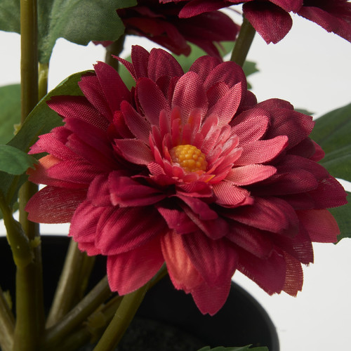 FEJKA Artificial potted plant, in/outdoor Chrysanthemums, 12 cm