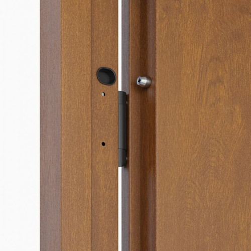 External Door O.K. Doors Temida Black P55 80, right, gold oak