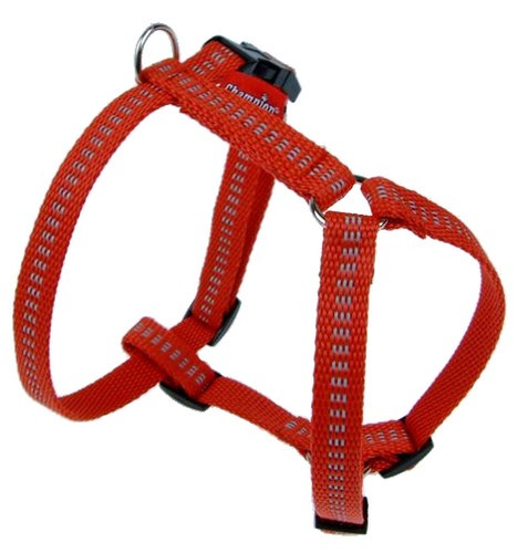 Champion Adjustable Dog Harness Reflective 50