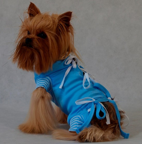 Grande Finale Postoperative Shirt for Dogs Size 2 / 28cm, blue