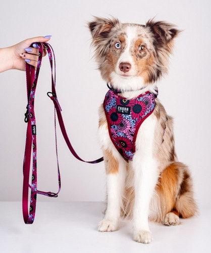 CHABA Adjustable Dog Leash Story III S 16mm/260cm Lakota