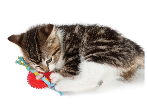 Petstages Kitty Chew Wheel