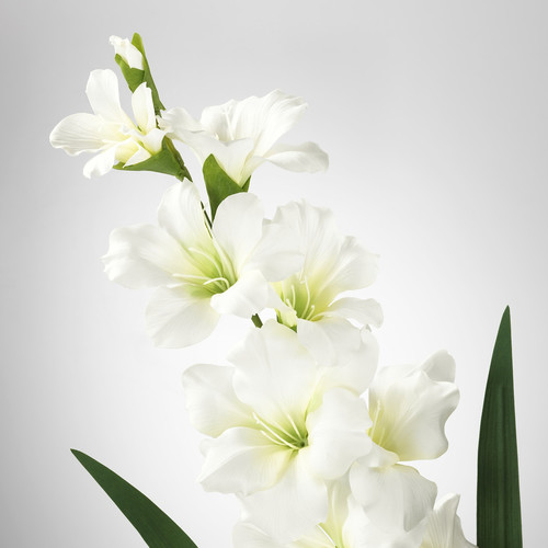 SMYCKA Artificial flower, Gladiolus, white, 100 cm