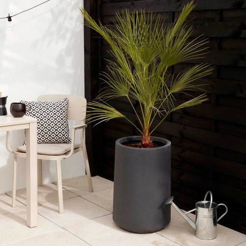 Verve Plant Pot High, outdoor, 40cm, matt dark grey
