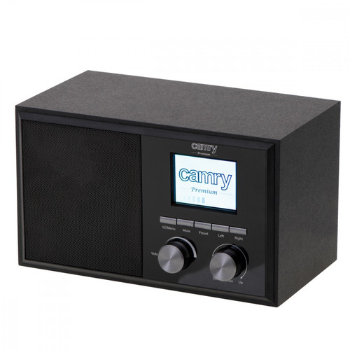 Camry Internet Radio CR1180