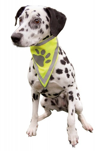 Safety Dog Bandana S/M 29-42cm