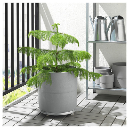 NYPON Plant pot, indoor/outdoor, grey, 32 cm