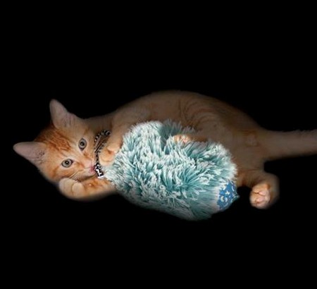 Petstages Nighttime Cuddle Toy for Cats