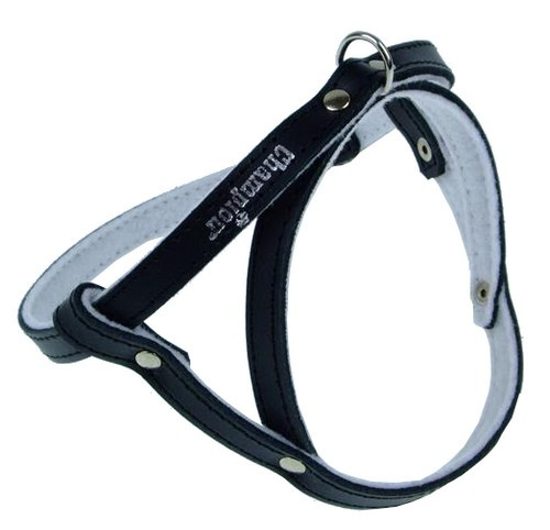 Champion Dog Harness 60, black