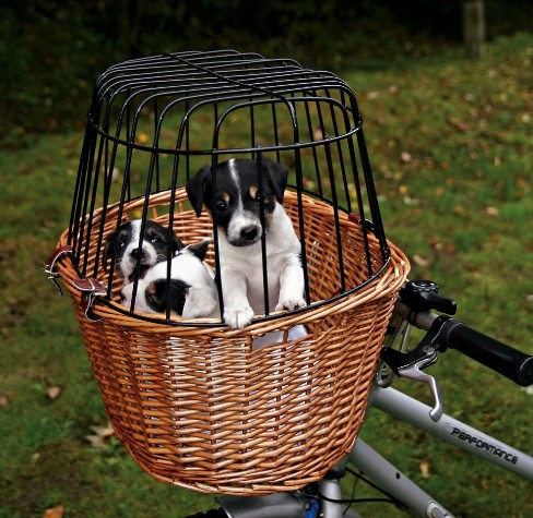 Trixie Front Dog Bicycle Basket