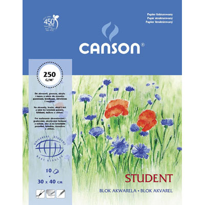 Canson Watercolour Pad A5 250g 10 Sheets