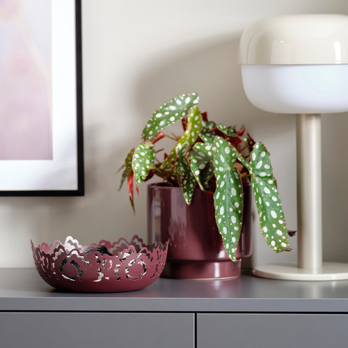 SILKESTRÄD Decorative bowl, brown-red, 18 cm