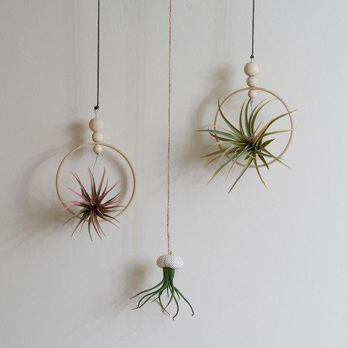 FEJKA Artificial plant, set of 3, air plant