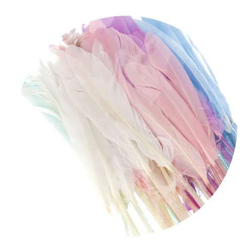 Decorative Feathers 8-12cm, pastel