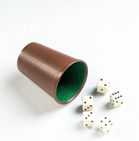 Fournier Dice & Cup Set 6+