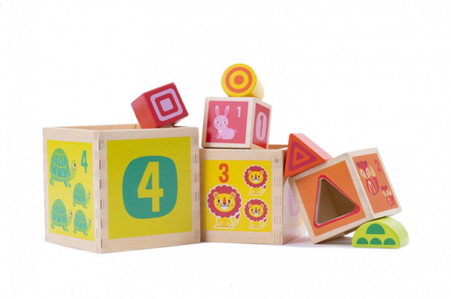 iWood Wooden Shape Sorter Cubes 12m+