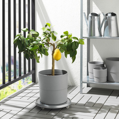 NYPON Plant pot, indoor/outdoor, grey, 24 cm