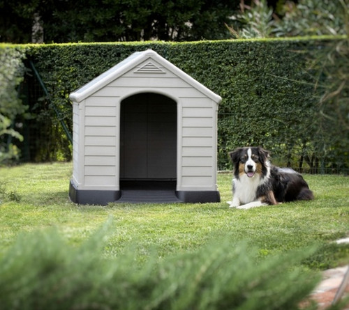 Curver Dog Kennel