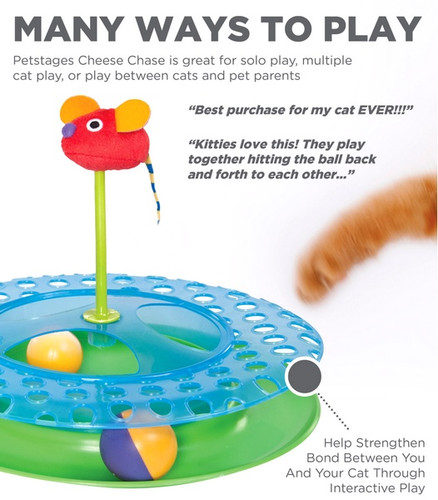 Petstages Cheese Chase Play Track for Cats