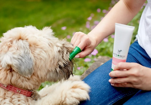 Vet's Best Dental Puppy Dental Kit