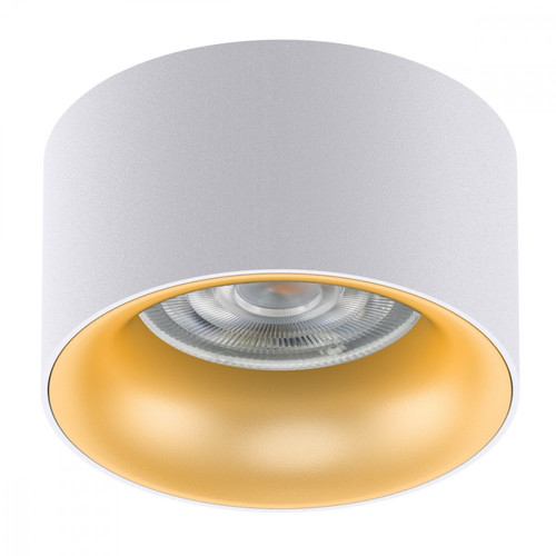 MacLean Spot Ceiling Luminaire MCE457WG