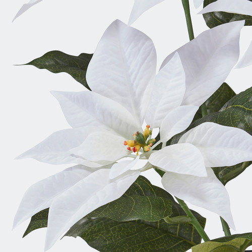 VINTERFINT Artificial potted plant, in/outdoor Poinsettia/white, 12 cm