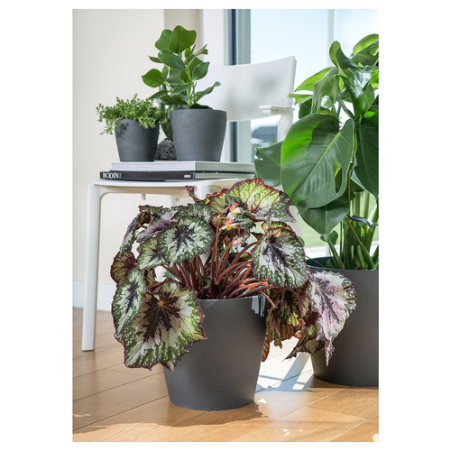 PERSILLADE Plant pot, dark grey, 12 cm