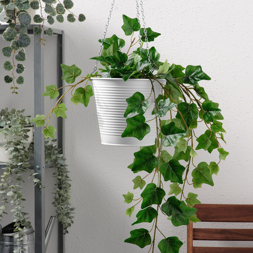 CASHEWÄPPLE Hanging planter, in/outdoor white, 15 cm