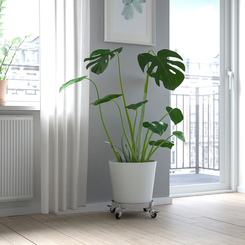 OLIVBLAD Plant mover, in/outdoor light grey, 32 cm