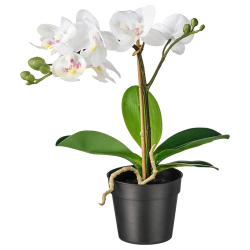 FEJKA Artificial potted plant, Orchid white, 9 cm