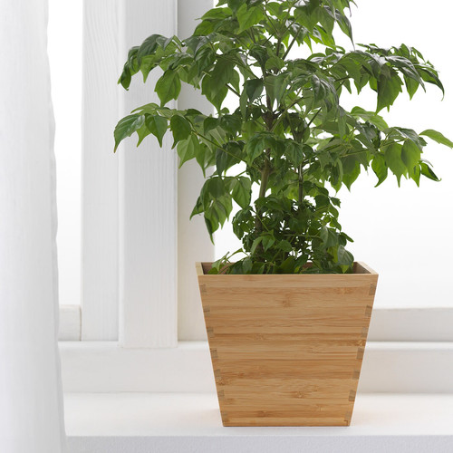 VILDAPEL Plant pot, bamboo, 12 cm