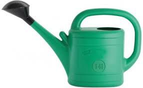 Watering Can Spring 14l, green