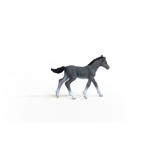 Schleich Trakehner Foal 5+