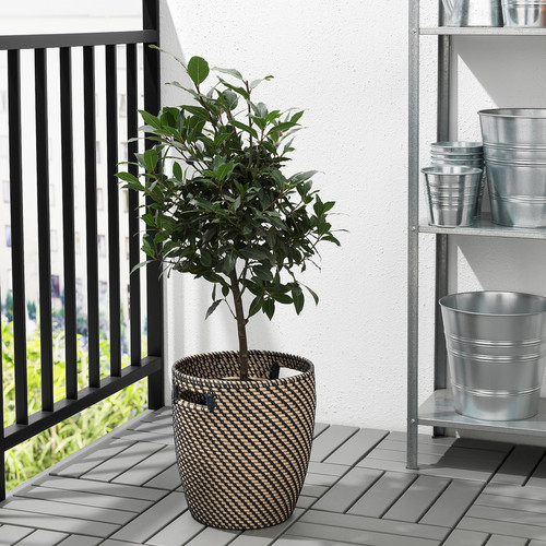 RÅGKORN Plant pot, indoor/outdoor natural, 24 cm