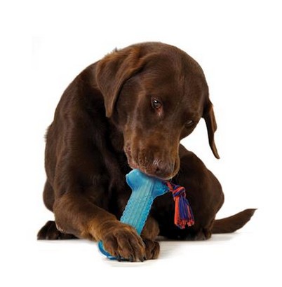 Petstages Orka Bone with Rope Dog Toy