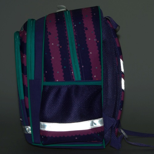 School Backpack Enchantimals