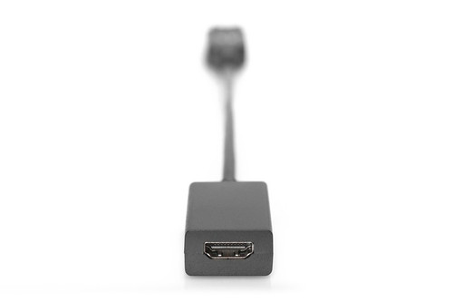 DIGITUS DisplayPort Adapter / Converter, DP/M - HDMI type A/F