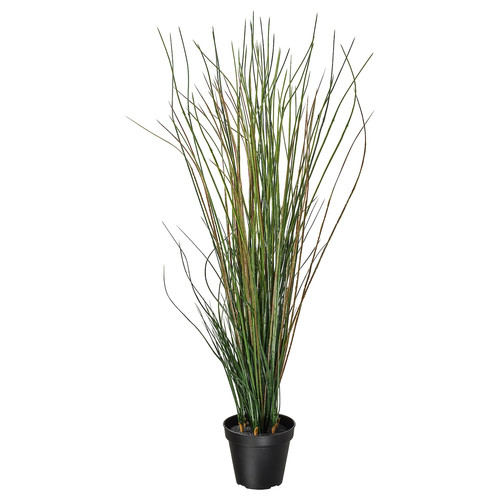 FEJKA Artificial potted plant, grass, 17 cm