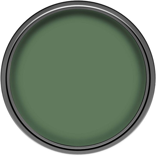 Dulux Walls & Ceiling Matt Latex Paint 2.5L, tropical green