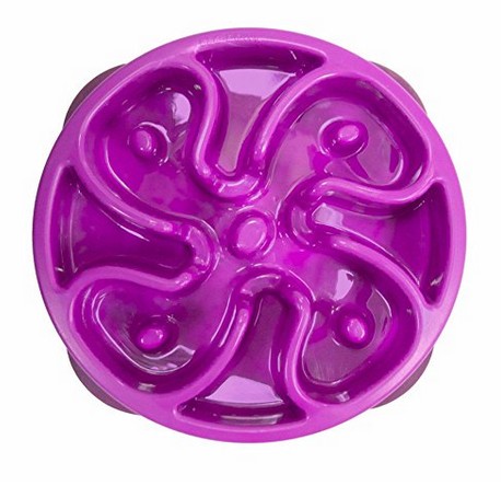 Outward Hound Fun Feeder Dog Slo Bowl Mini, purple