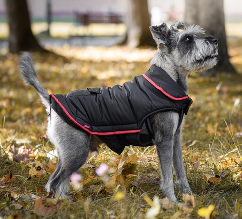 Zolux Dog Raincoat Cosmo T30 30cm, black