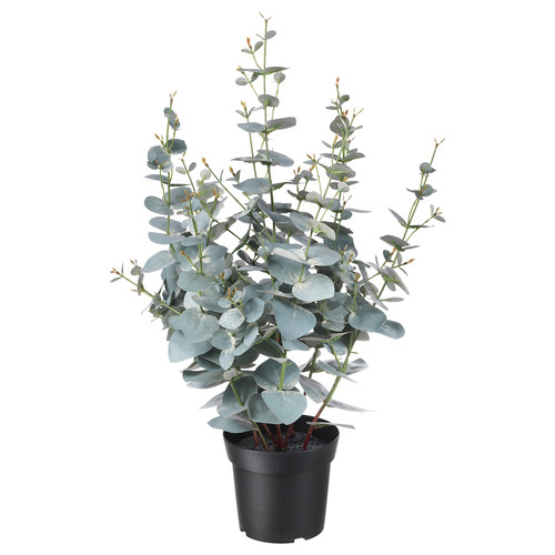 FEJKA Artificial potted plant, in/outdoor eucalyptus, 15 cm