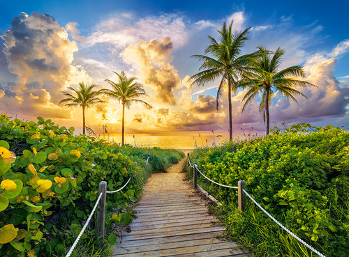 Castorland Jigsaw Puzzle Colorful Sunrise in Miami, USA 3000pcs