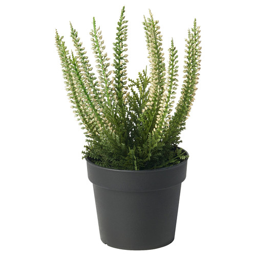FEJKA Artificial potted plant, in/outdoor Heather, 9 cm