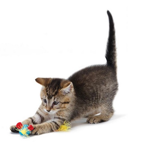 Petstages Cat Toy Colourful Mice 2pcs