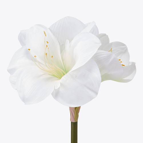 VINTERFINT Artificial flower, in/outdoor/Amaryllis white, 60 cm