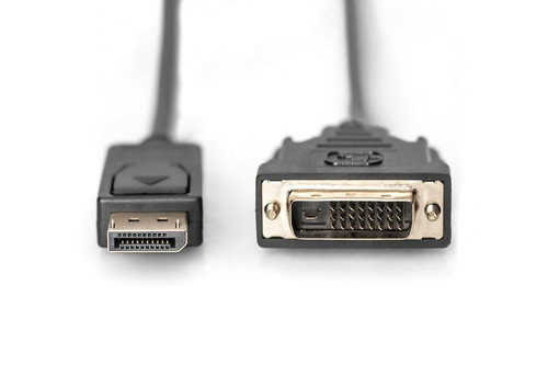 Digitus DisplayPort Cable 1080p 60Hz FHD Type DP / DVI-D (24 + 1) M / M 2m