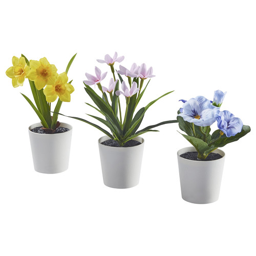 FEJKA Artifi potted plant w pot, set of 3, in/outdoor flower, 6 cm